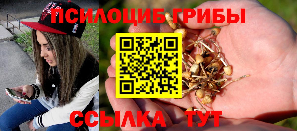 цена наркотик  Вход с VPN  Шали  Псилоцибиновые грибы Magic Shrooms 