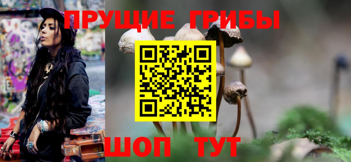 Галлюциногенные грибы Cubensis Шали
